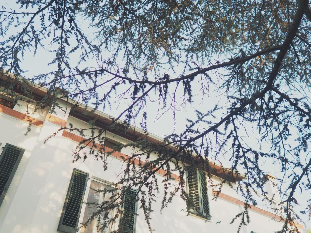Villa Monti Colli del Tronto Exteriér fotografie
